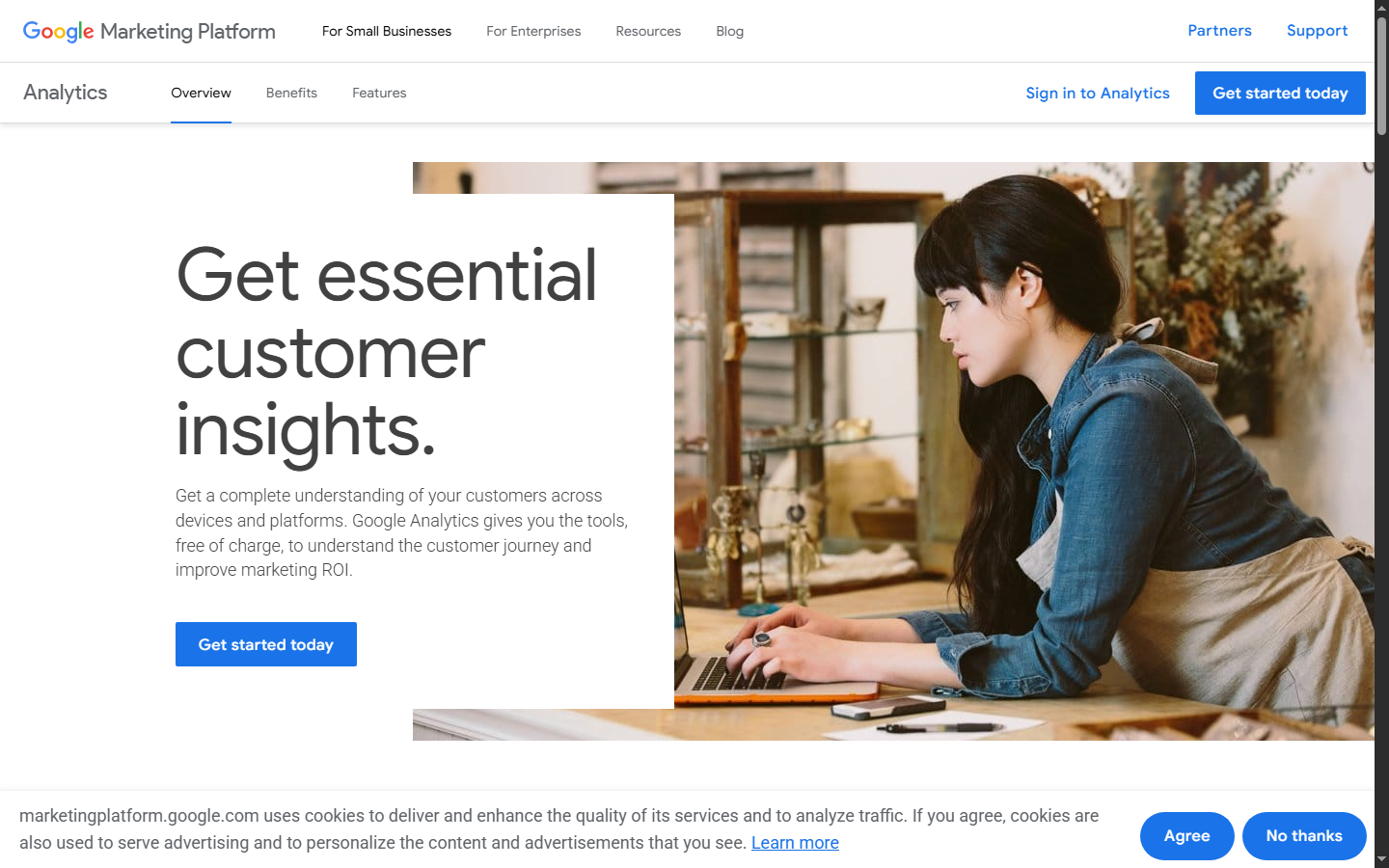 Google Analytics website snapshot
